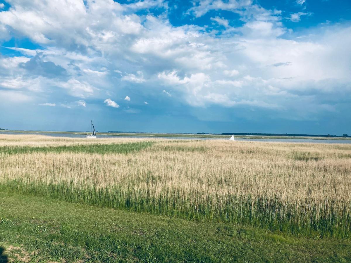 Vila Doppelhaushaelfte Birkenstrasse 5E Zingst Exteriér fotografie